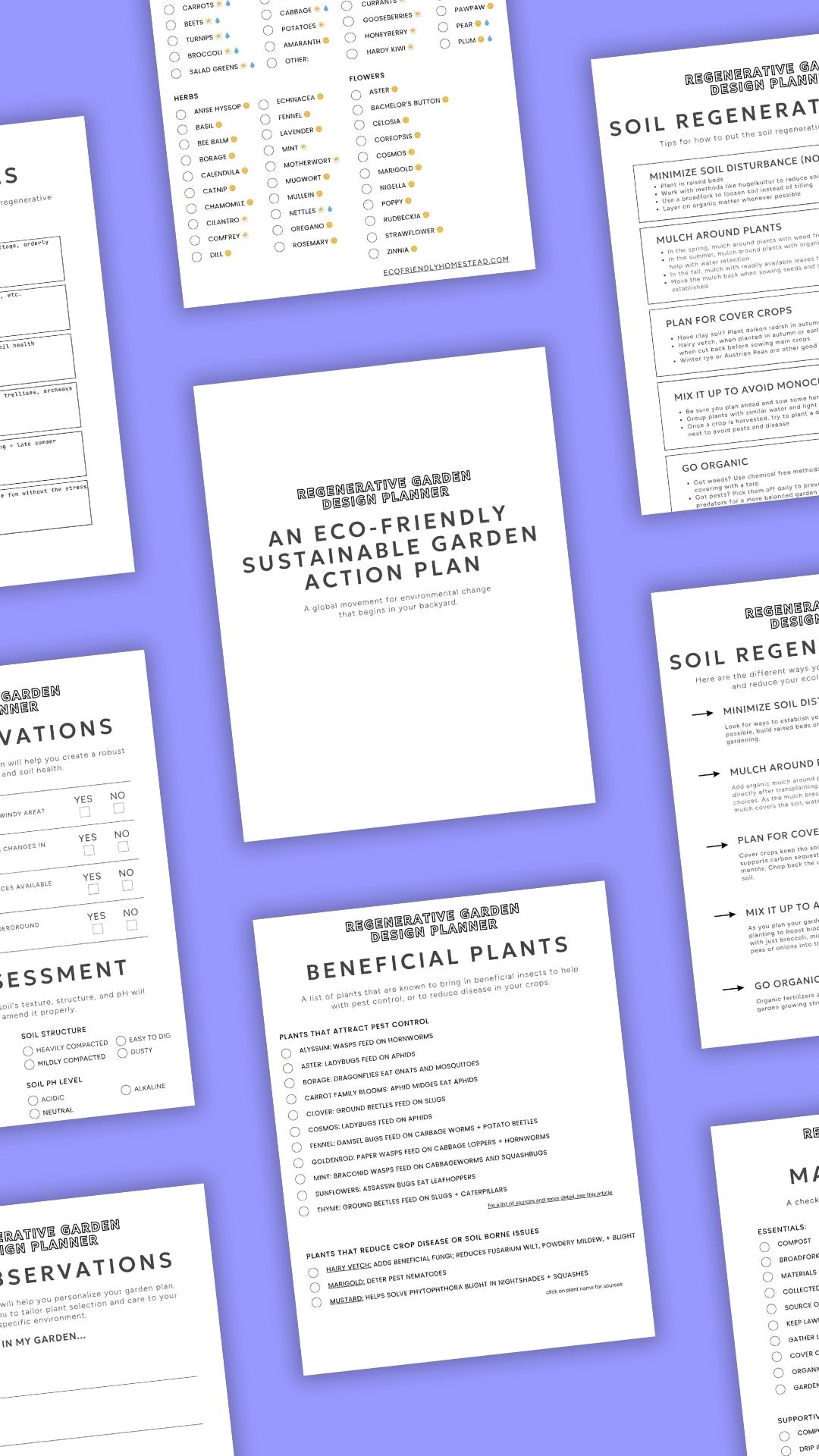 EcoFriendly Sustainable Garden Action Plan Your Guide to Regenerative